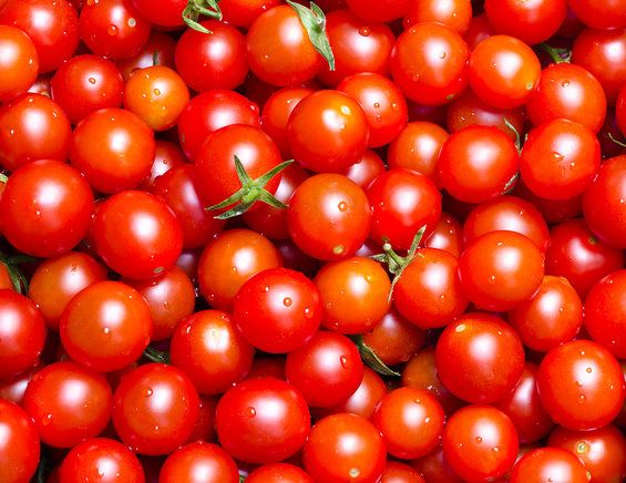 1001 Tomates
