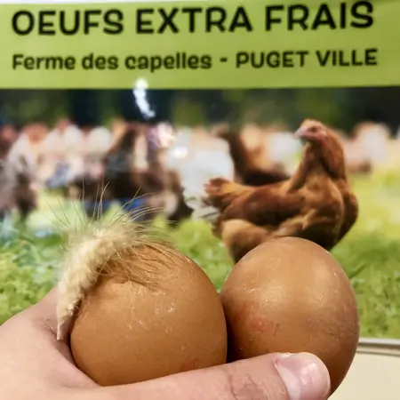 FERME DES CAPELLES
