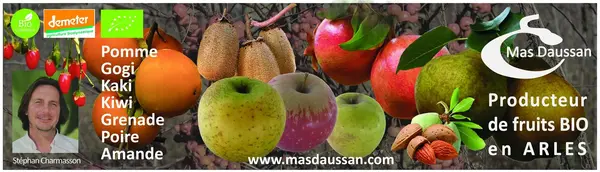 MAS DAUSSAN